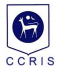 CCRIS — Central Credit Reference Information System
